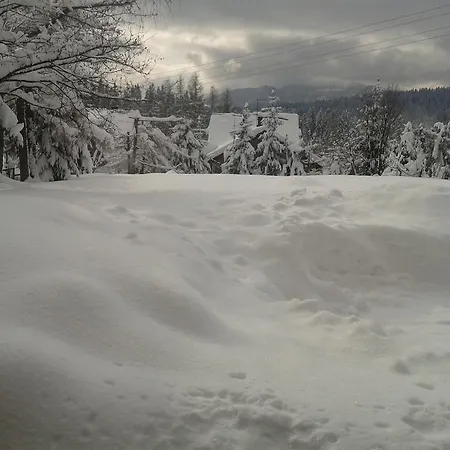 Kalina Homestay